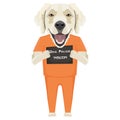 Mugshot prison clothes dog Golden Retriever